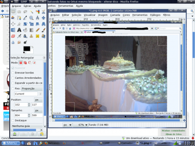 Salvando fotos no Orkut mesmo bloqueada