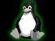 BlackHatThi