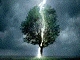 anm_2007
