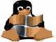 Linuxnowindows