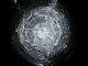 Edionei Robson Triches