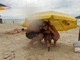 Foto de Glaucio Klipel