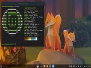 Certamente n&atilde;o &eacute; o Linux Mint