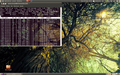top - ubuntu 10.04