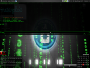 Screen Verdadeira