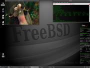 FreeBSD 8.1
