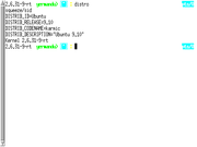 urxvt com zsh