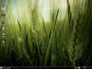 biglinux com wall do ubuntu 10.10