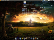 Ubuntu 10.04 + Conkys