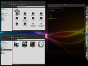 Linux Mint 9