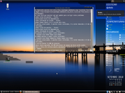 Ubuntu 10.04