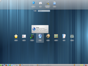 OpenSUSE 11.3