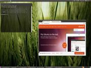 Ubuntu 10.10 RC