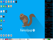 Openbox XenialPup