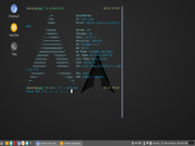 Cinnamon Retornei ao Arch ap&oacute;s 5 anos sem Linux