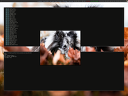 Tiling window manager Wall aleat&oacute;rio