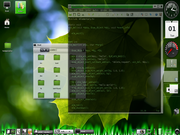 Terramint Verde