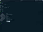 Tiling window manager Inverno &eacute; muito bom