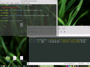 MATE Modifica&ccedil;&atilde;o Radical
