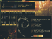 Tiling window manager i3 + notebook velho