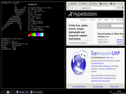 Tiling window manager Hyperbola 0.4 testing