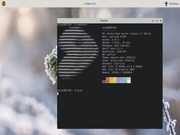 Tiling window manager Gentoo + Wayfire - testando wayland