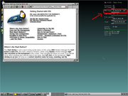 TWM Damn Small Linux com 32 MB de RAM