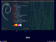 Cinnamon Debian 11
