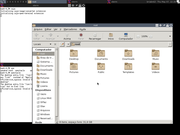 Blackbox Awesome Desktop