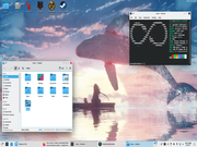KDE Papel de parede animado