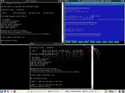 Blackbox Arp poisoning + DNS Spoofing