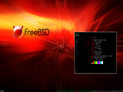 Tiling window manager BSD no dia a dia