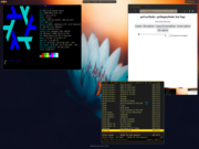 Hyprland no Nix OS