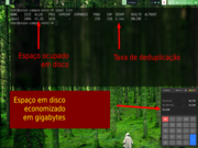 Tiling window manager ZFS em a&ccedil;&atilde;o