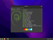 Cinnamon LMDE 5