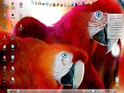 OpenSuse 11.3