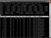 Blackbox Dell PowerEdge Intel Xeon Quad-Core rodando Debian 4 AMD64