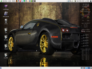 Ubuntu Bugatti 10.04.1
