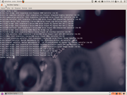 Ubuntu 10.10 Beta